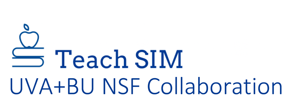 Teach SIM Logo