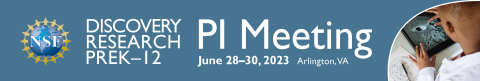 PI Meeting Banner